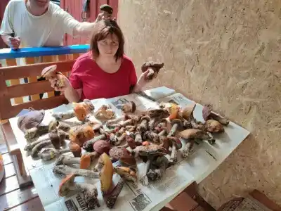 Еужи - 2
