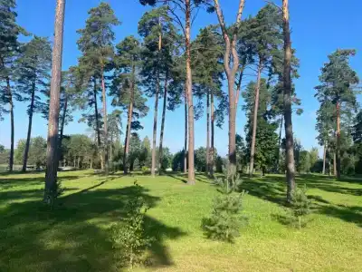 Славянка - 100