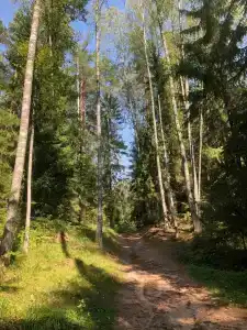 Конный Двор в Пржевальском - 51