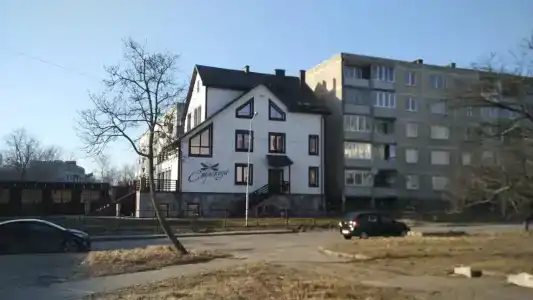 Стрекоза - 11