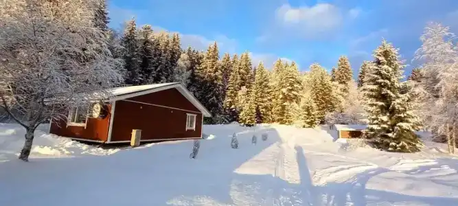 Хуторок у Сан Саныча - 61