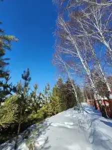 Едем в Киреевск - 48