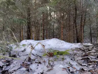 Мать и дитя - 38