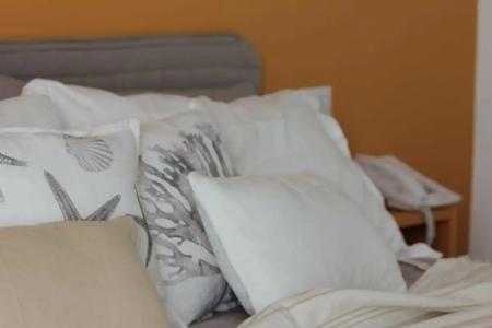 Intorno Al Fico - 40