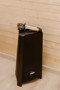 Хвоя - 31