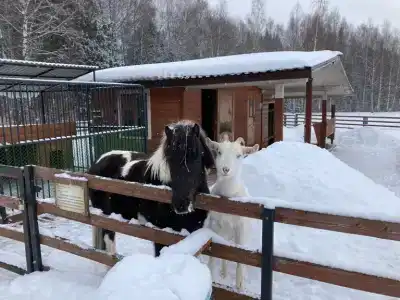 Покровские Ворота - 9