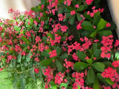 Novotel Bahrain Al Dana - 75