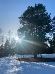 Бобровниково - 38