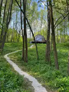 Велес глэмп - 62