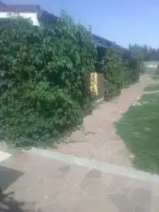 Уютный дворик - 14