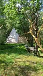 Вгости - 50