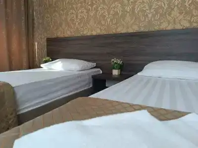 Фламинго - 30