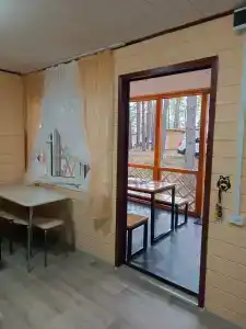 Спутник - 53