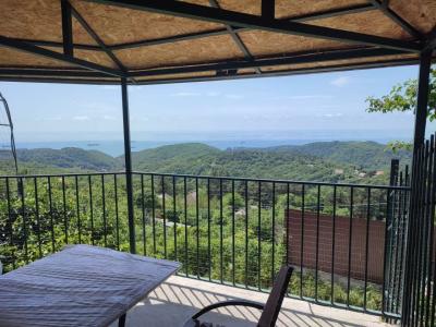 Бревенчатый дом в лесу - 53