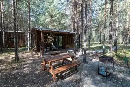 Хижина в лесу - 141