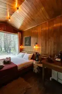 Хижина в лесу - 69