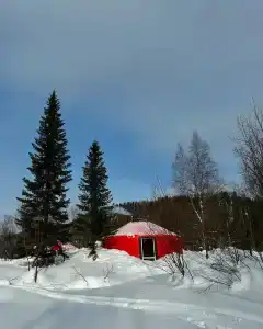 Снегири - 10
