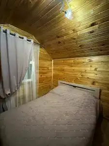 Леопард - 92