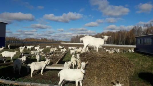 Александровский спас - 106