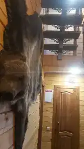 БорОк - 37