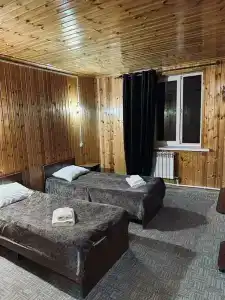 Альпенхауз - 36