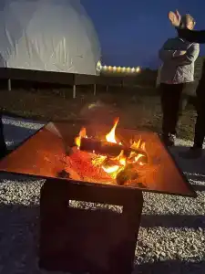 Пара Альпак - 77