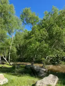 Эркелей - 46