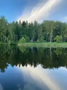 Чайка - 55