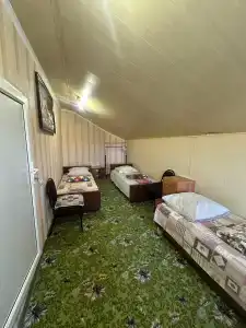 Дубрава - 69