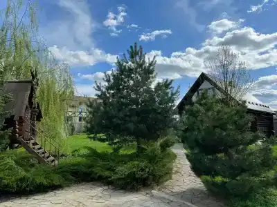 Серый Волк - 100