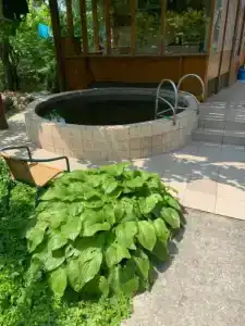 Крымские каникулы - 110