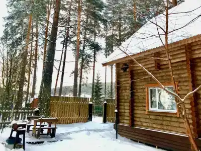 Дача в соснах - 67