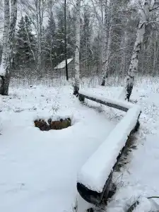 Тихий Кот - 61