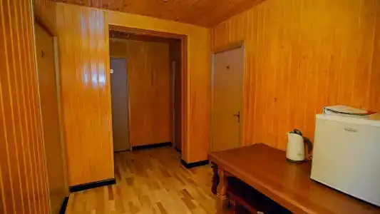 Фестиваль - 86