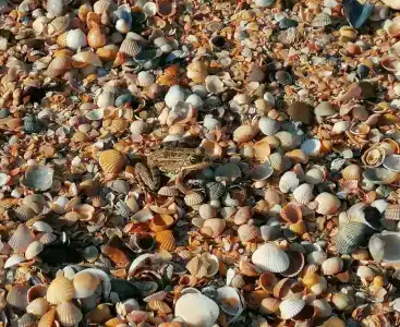 База отдыха у Петровича - 106