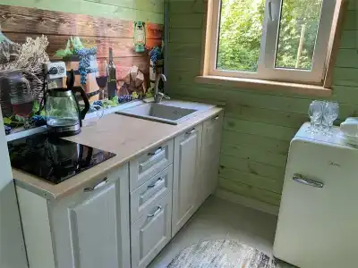 Богатый лес - 69