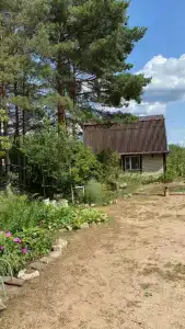 Гнездо аиста - 37