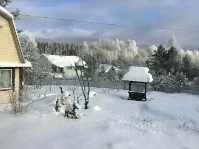 Гнездо аиста - 48
