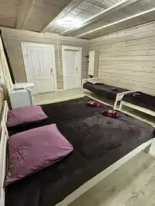 Аист - 5