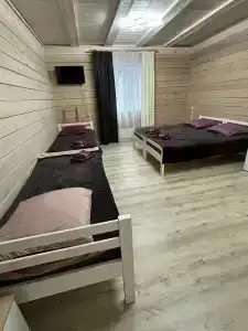 Аист - 4