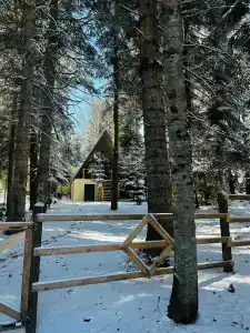 Счастливый лось - 81