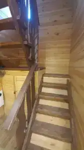 Брусника - 15