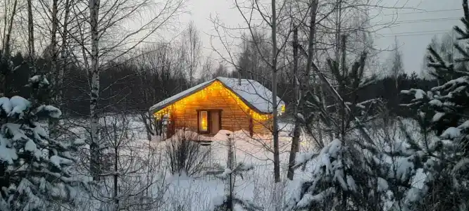 Кедросад - 52