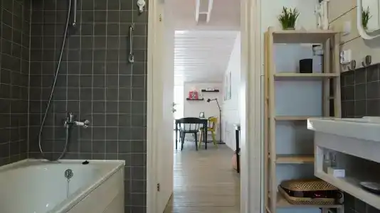 Дубльдом - 420