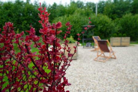 Дубльдом - 436