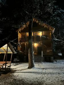 TAU HOUSE - 51