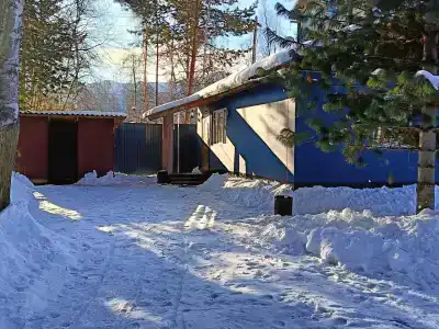 Лесорёк - 8