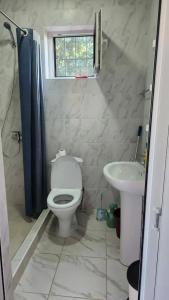 Семейный парк Озеро - 105