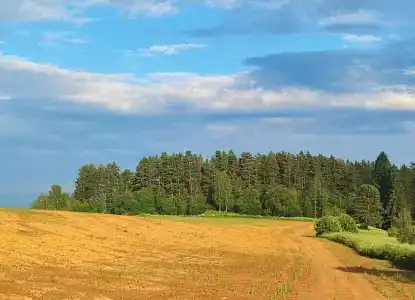 Лукино-Парк - 121