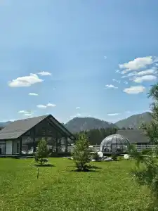 Рассвет - 50